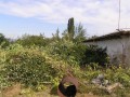 10-vykácení keřů