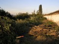 12-vykácení keřů